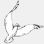dynamicjet.biz