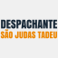 despachantesaojudastadeu.com