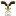 morrishunter.org