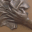 graspstudio.net