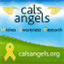 calsangels.org