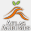 atlasagrumes.ma