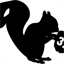 31squirrel.com