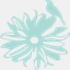 flaurieandfinch.com