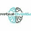 cerebral-overload.com