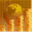 freeforextutorial.wordpress.com