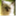 mycatz.wordpress.com