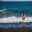 artemuse.wordpress.com