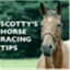 scottyshorseracingtips.wordpress.com