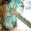 thecrystalbloom.com
