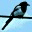 doctordolittle.wordpress.com