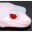 vmsherp.com