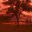 fusionandfolk.wordpress.com