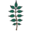 jacobtreecare.com