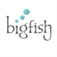 bigfishsearch.com