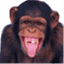 chasingthemonkey.com