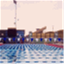 swimsantamonica.com