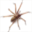 ecopropest.net