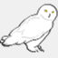 owls-count.net