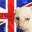 dashkitten.com