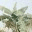 wienkuswanto.wordpress.com
