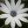 uneeq.wordpress.com