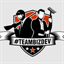 teambizdev.com