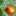 evolutec.publicmsg.de