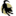 blandis.org