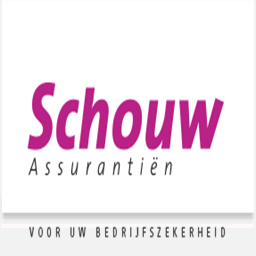 schouwassurantien.nl