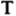 tilesonbradman.com.au