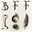 bonesfeathersandfruit.com