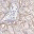 pathblog.wordpress.com