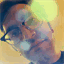 justinandrewrobinson.com