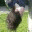 rigorousm.wordpress.com