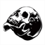 aliphant.net