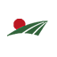 tigernutsjp.com