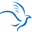 birdrocksolutions.com