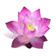 recoverywithdemetria.com