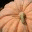 jucki.wordpress.com