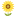 cwpcn.ca