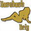 barebackbrig.com