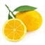 lemonwaterguide.com