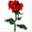 hb24.linux-hosting.de