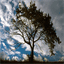 silent-oak.com