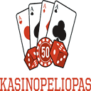 kasinopeliopas.com
