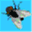 fast3d.co.uk