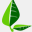 biggestleaf.com