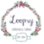 loopsygainesville.com