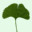 juliegrosche.com
